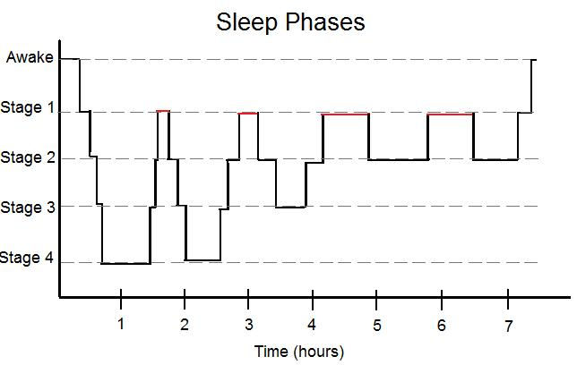 /postsFiles/dreams/sleepPhases.png